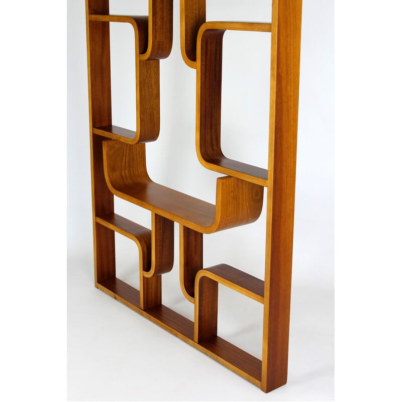 Mid-century room divider by Ludvik Volak for Drevopodnik Holesov, 1960s