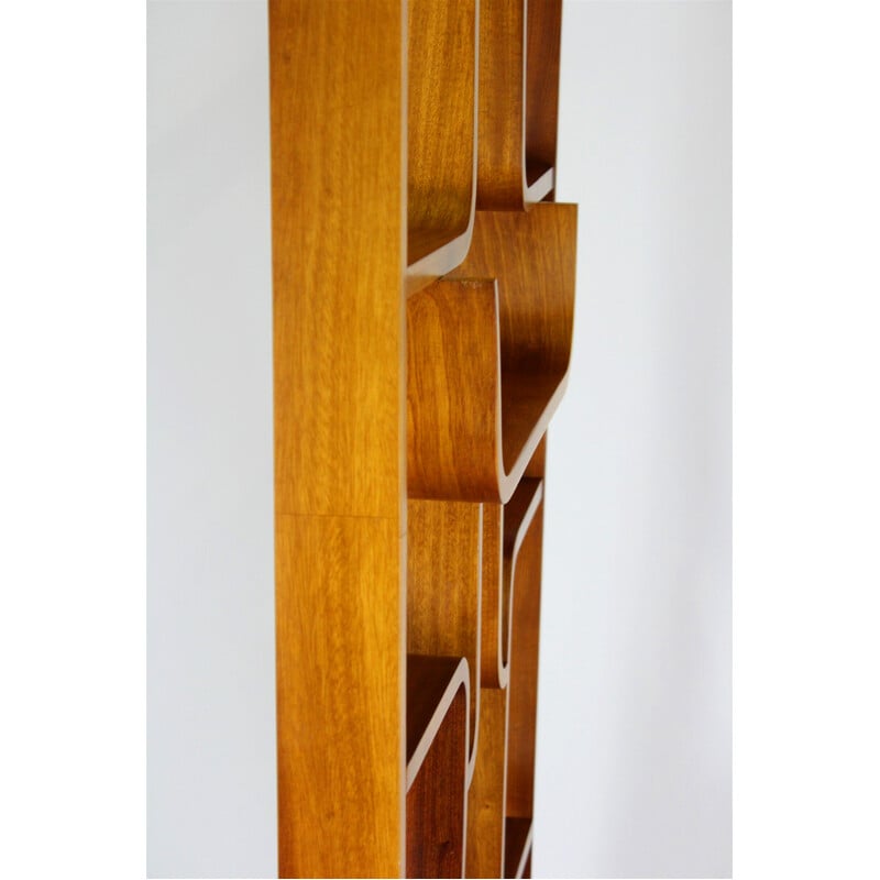 Mid-century room divider by Ludvik Volak for Drevopodnik Holesov, 1960s