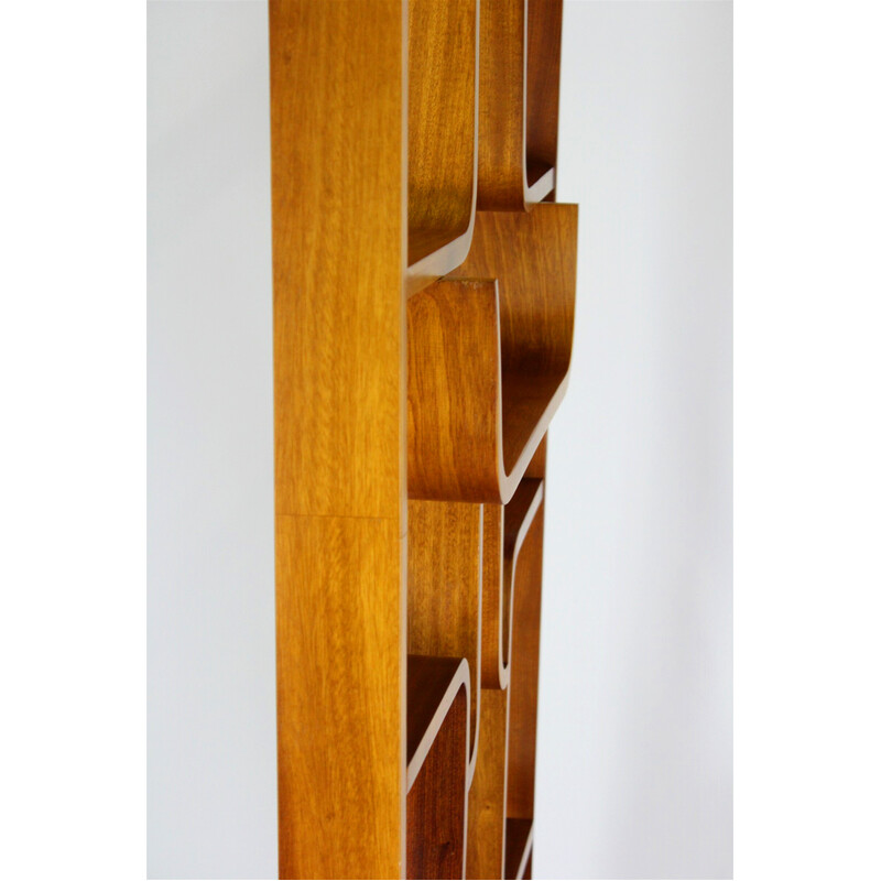 Mid-century room divider by Ludvik Volak for Drevopodnik Holesov, 1960s