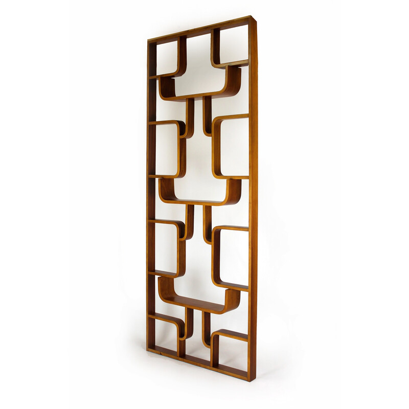 Mid-century room divider by Ludvik Volak for Drevopodnik Holesov, 1960s