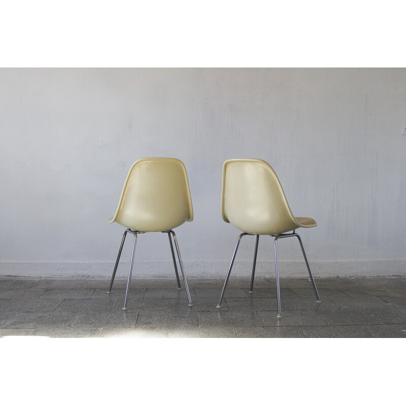 Pair of vintage Dsx side chairs by Charles and Ray Eames for Herman Miller, 1960