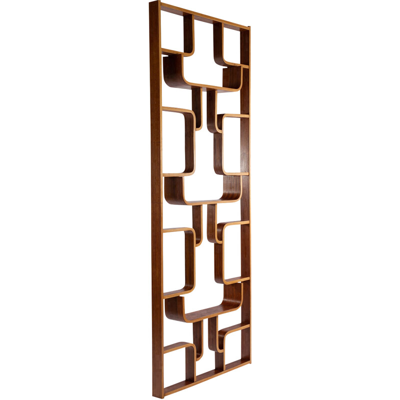 Vintage room divider by Ludvik Volak, 1960s