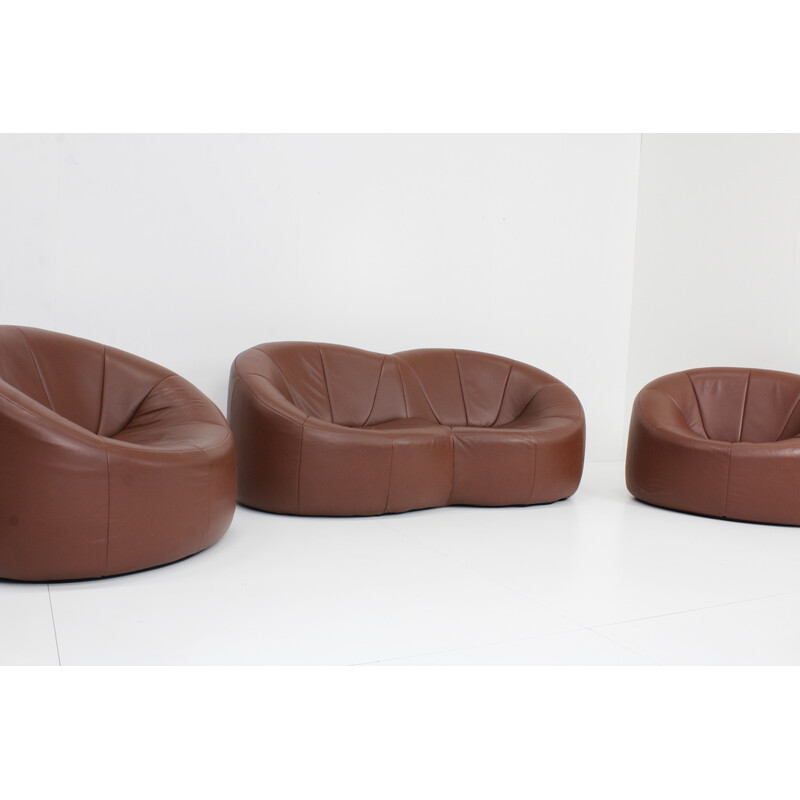 Vintage brown leather Pumpkin lounge set by Pierre Paulin for Ligne Roset