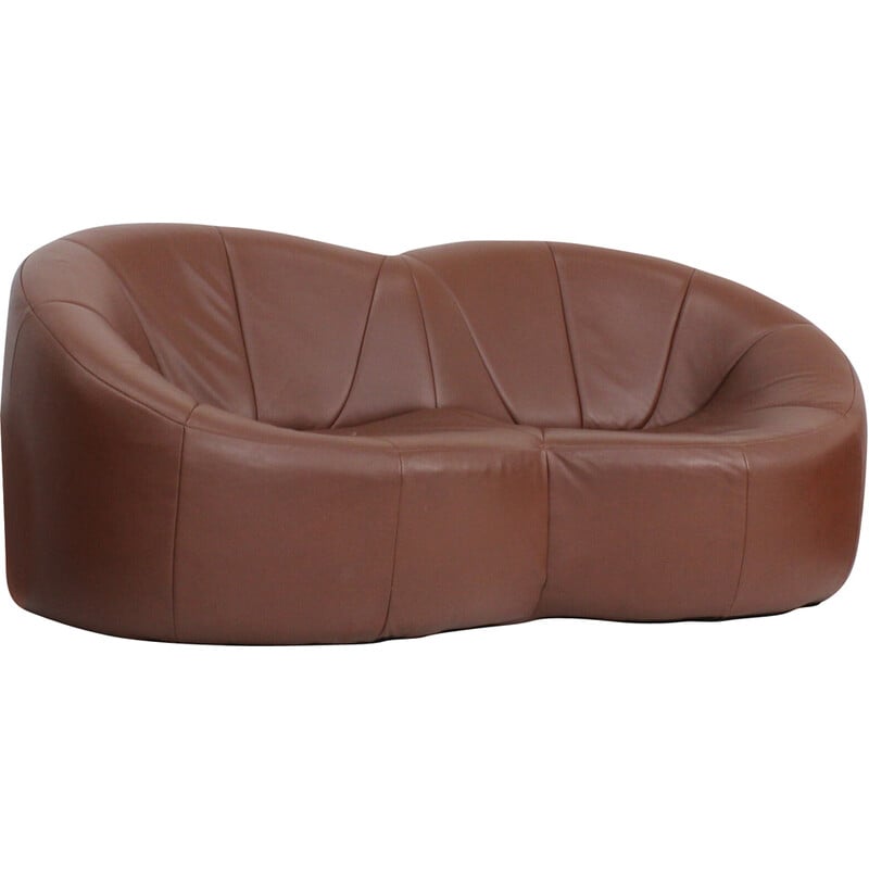 Vintage brown leather Pumpkin lounge set by Pierre Paulin for Ligne Roset