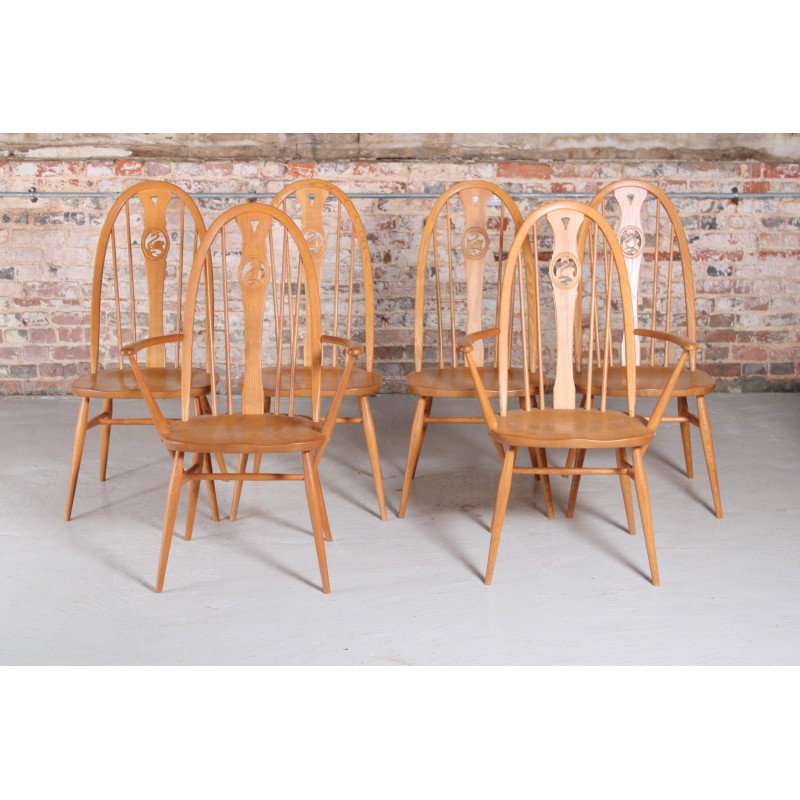 Conjunto de 6 cadeiras Ercol Swan vintage em madeira de olmo, 1970