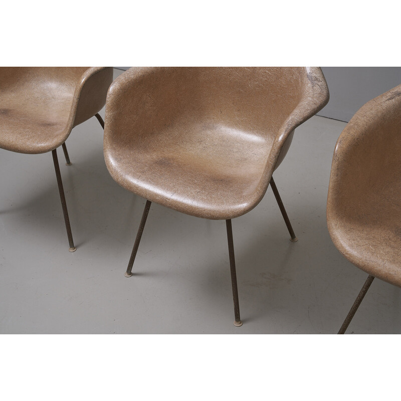 Juego de 4 sillones vintage Dax de fibra de vidrio de Charles y Ray Eames para Herman Miller, 1950