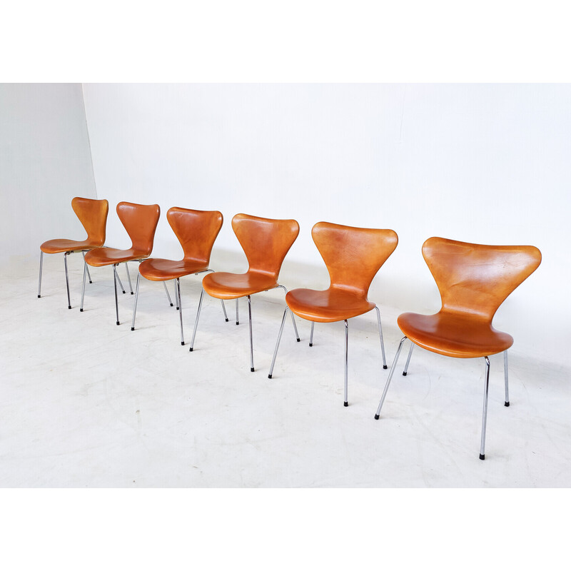 Set of 6 mid-century cognac leather chairs by Arne Jacobsen for Fritz Hansen, 1960s
