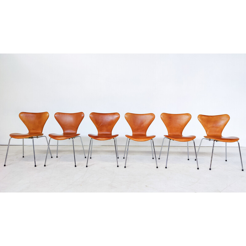 Set of 6 mid-century cognac leather chairs by Arne Jacobsen for Fritz Hansen, 1960s