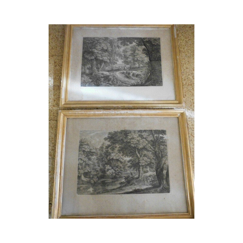 Paire de gravures vintage avec cadres dorés par Adam Frans van der Meulen