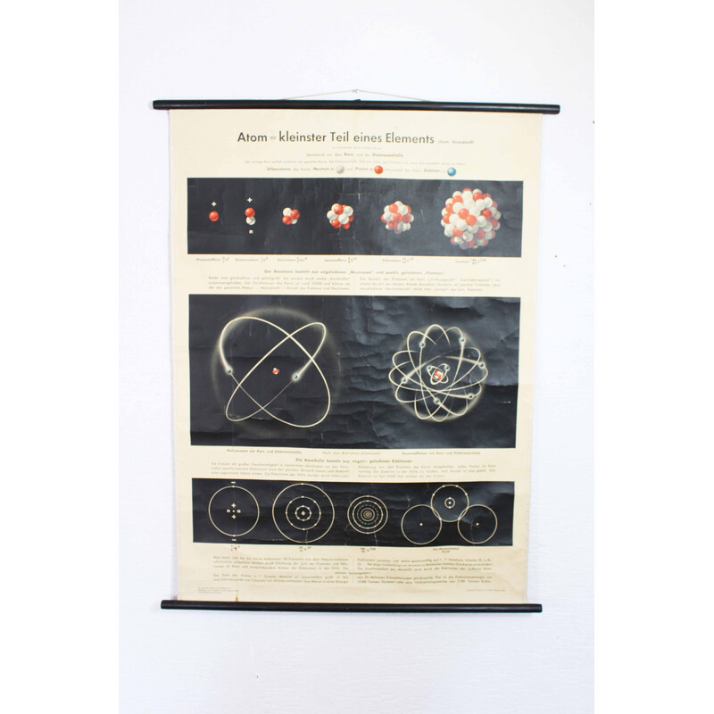 Affiche scolaire de science vintage, 1960
