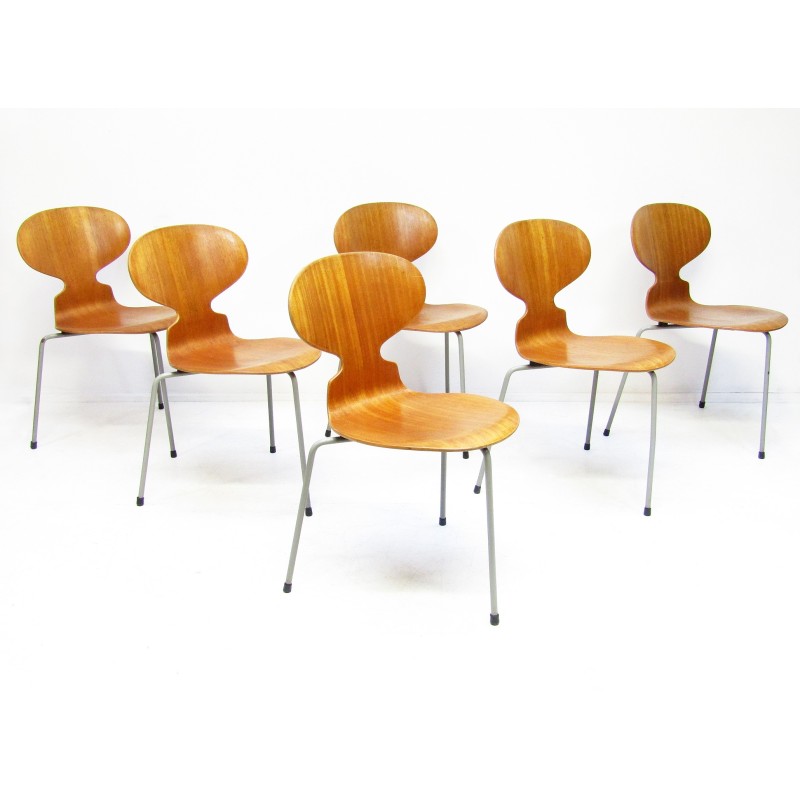 Set of 6 vintage Ant chairs in teak by Arne Jacobsen for Fritz Hansen, 1950s