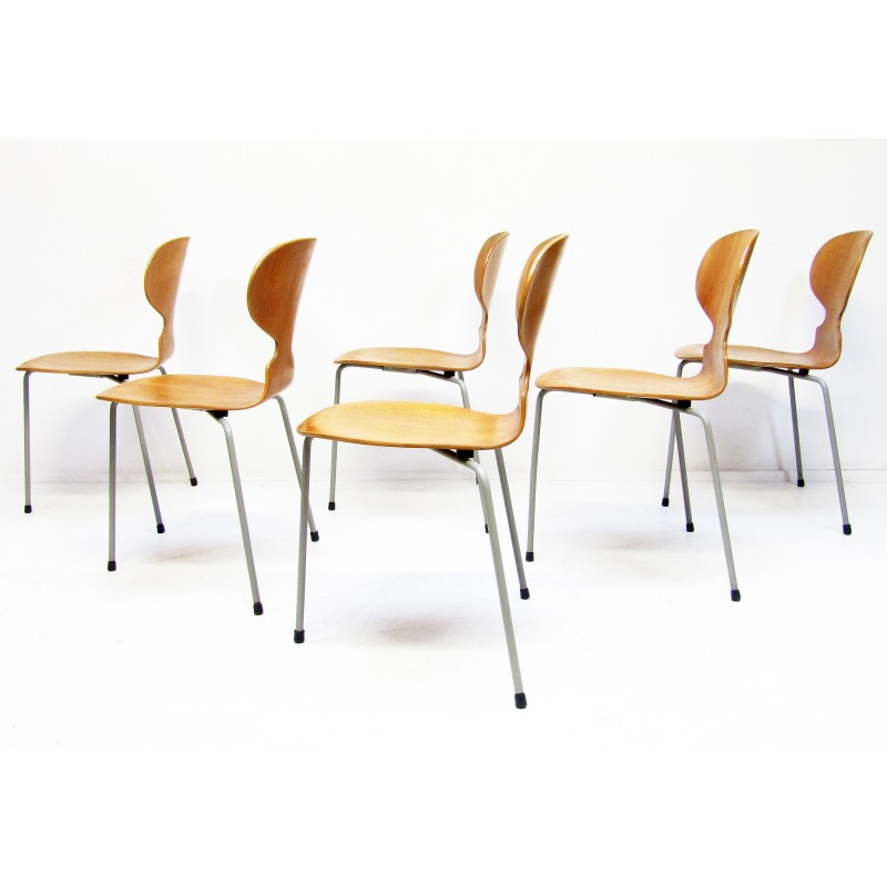 Conjunto de 6 cadeiras Ant vintage em teca de Arne Jacobsen para Fritz Hansen, anos 50