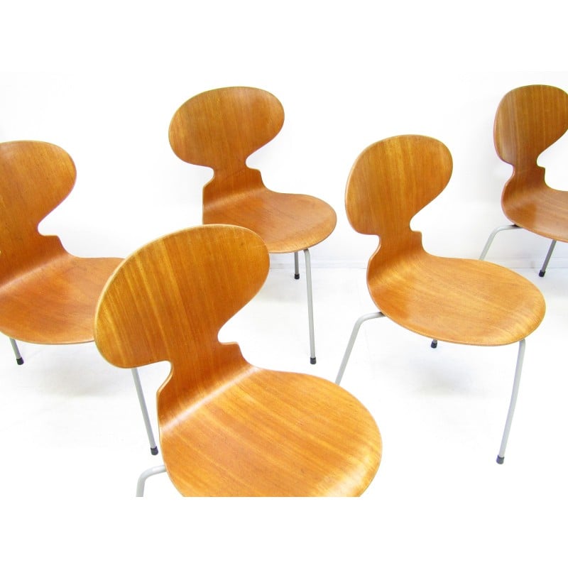 Conjunto de 6 cadeiras Ant vintage em teca de Arne Jacobsen para Fritz Hansen, anos 50