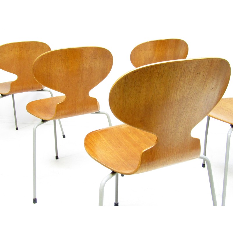 Satz von 6 Stühlen aus Teakholz von Arne Jacobsen für Fritz Hansen, 1950er Jahre