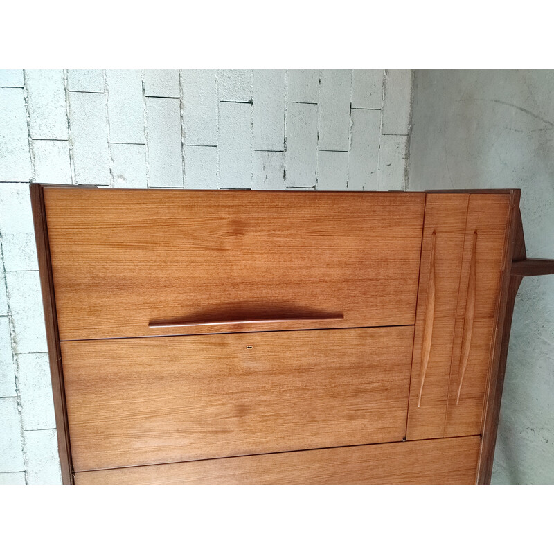 Scandinavian vintage teak cabinet