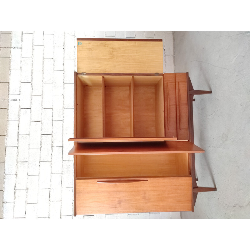 Scandinavian vintage teak cabinet