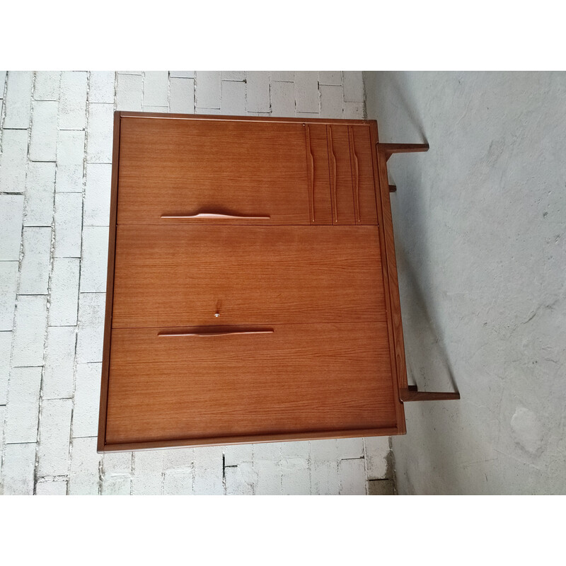 Scandinavian vintage teak cabinet