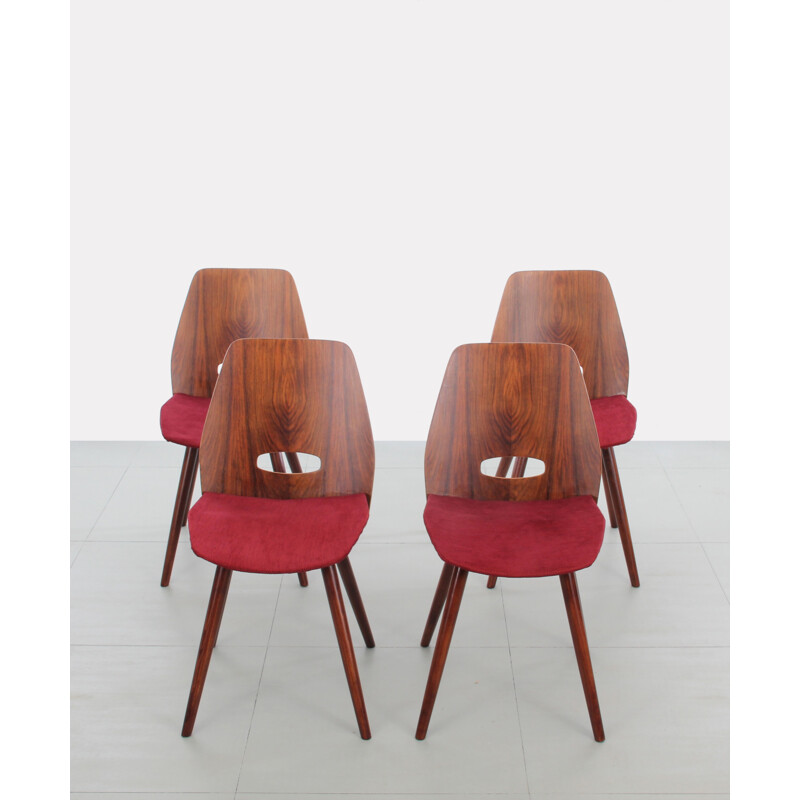 Set of 4 tinted oak chairs by Tatra Nabytok - 1960s