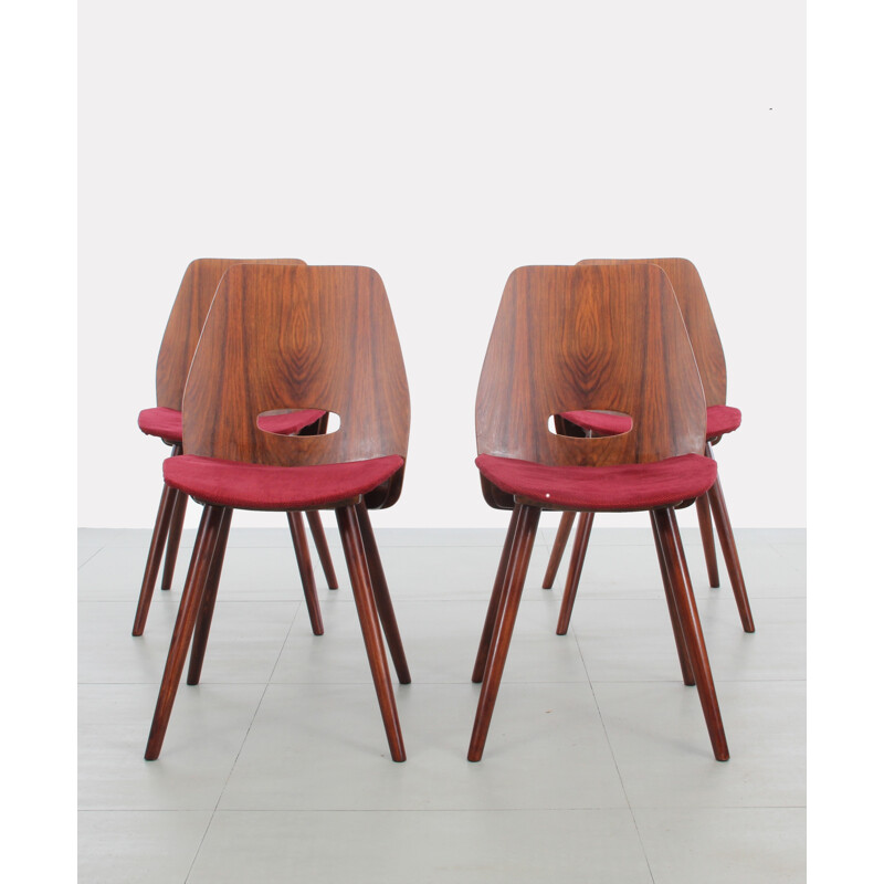 Set of 4 tinted oak chairs by Tatra Nabytok - 1960s