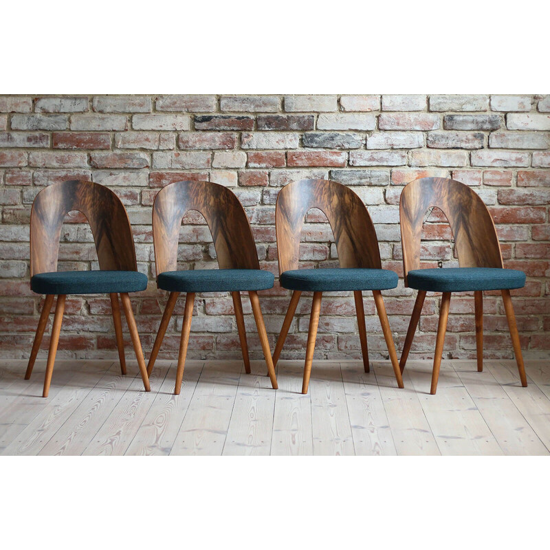 Set of 4 vintage walnut chairs by A. Šuman for Kvadrat Reupholstery, 1960