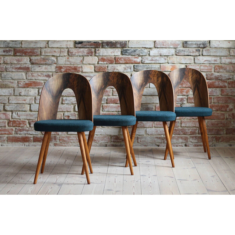 Set of 4 vintage walnut chairs by A. Šuman for Kvadrat Reupholstery, 1960