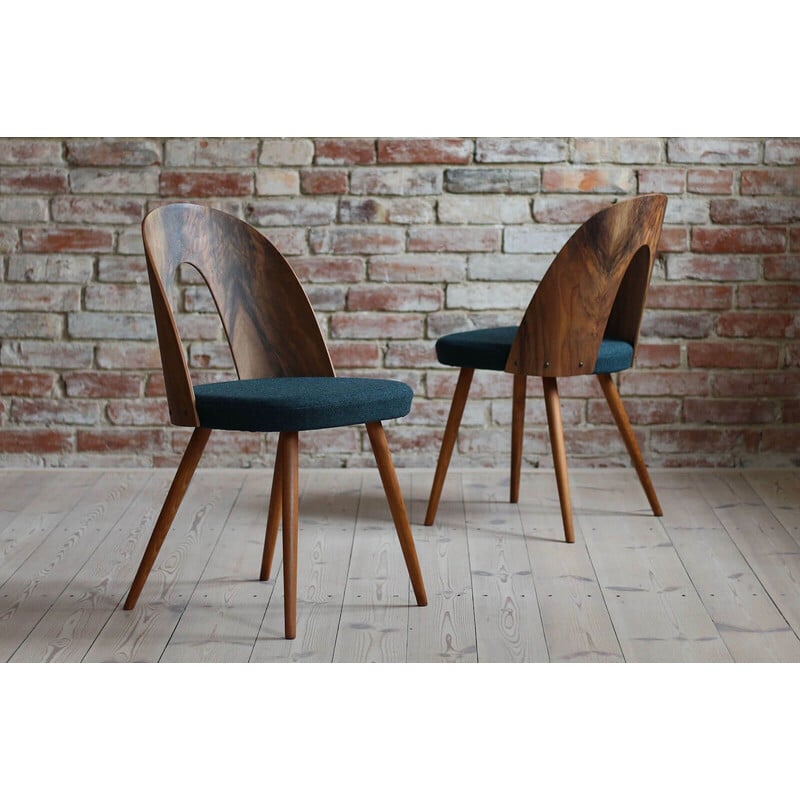 Set of 4 vintage walnut chairs by A. Šuman for Kvadrat Reupholstery, 1960