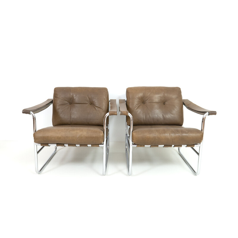 Pareja de sillones vintage He 113 de Hans Eichenberger para de Sede