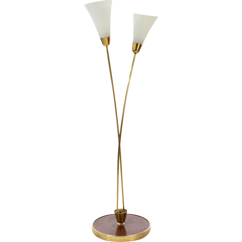 Vintage gilded brass and glass floor lamp