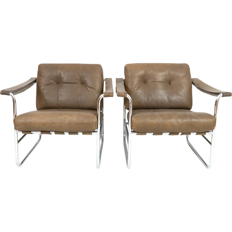 Pair of vintage He 113 armchairs by Hans Eichenberger for de Sede