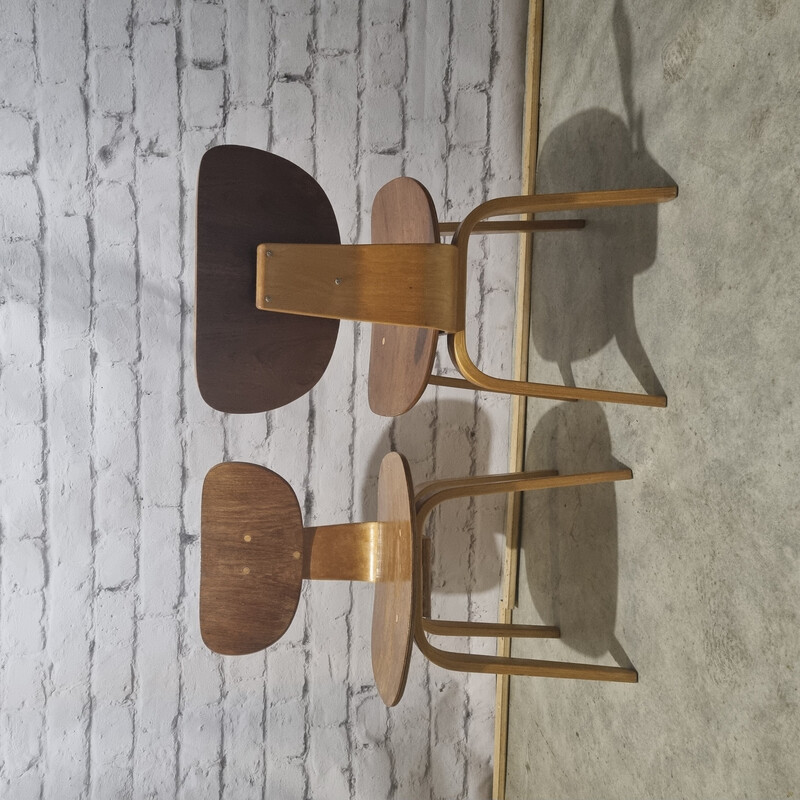 Paire de chaises vintage Sb02 par Cees Braakman pour Pastoe, 1960