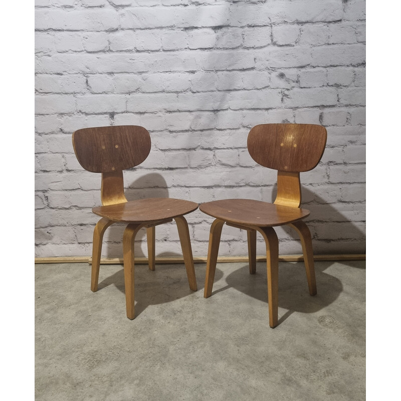 Pair of vintage Sb02 dining chairs by Cees Braakman for Pastoe, 1960s