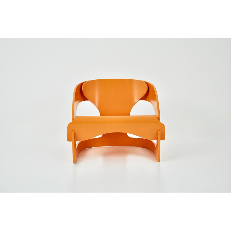 Vintage wooden armchair model 4801 by Joe Colombo for Kartell, 1960