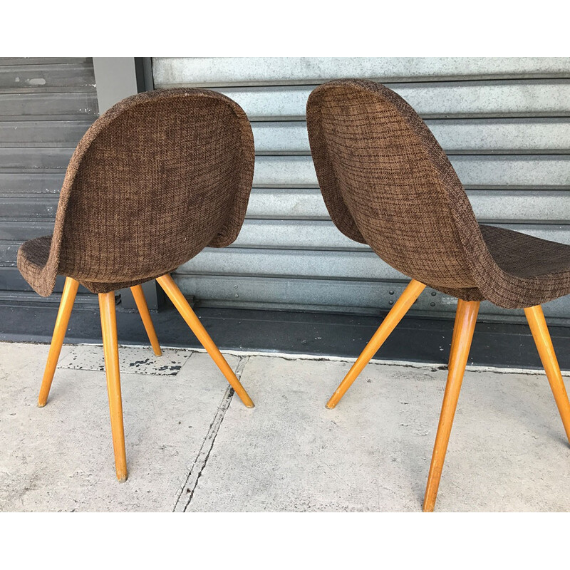 Pair of mid-century brown chocolate chairs with compass legs - 1950s