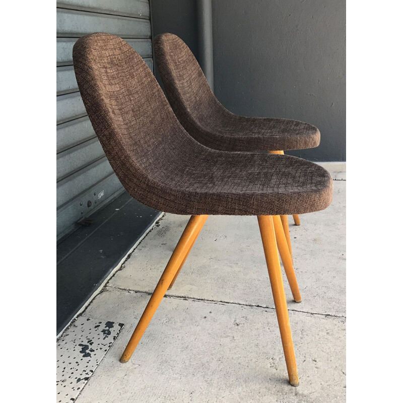 Pair of mid-century brown chocolate chairs with compass legs - 1950s