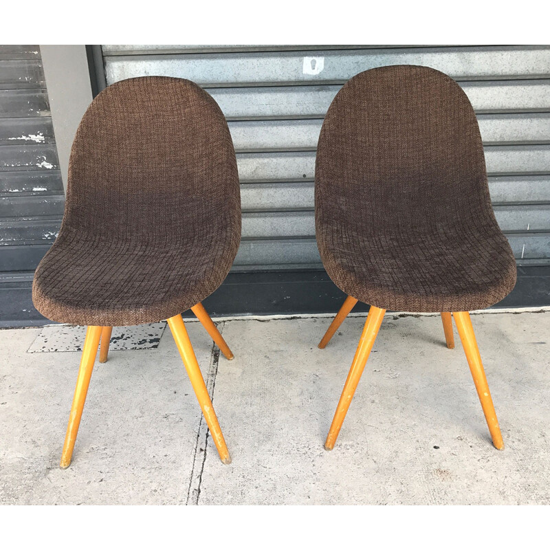 Pair of mid-century brown chocolate chairs with compass legs - 1950s