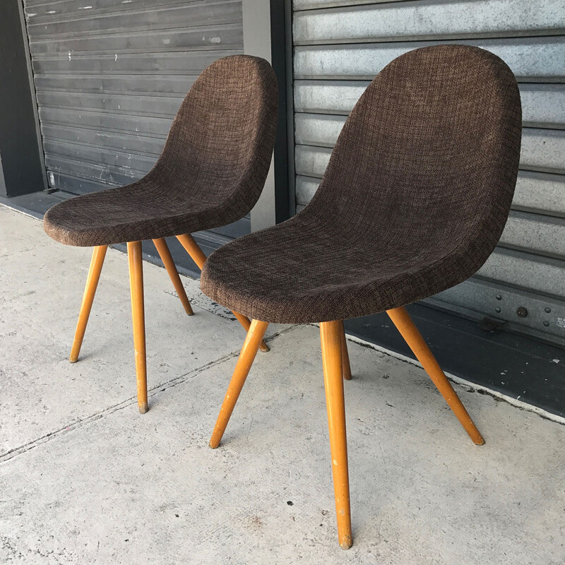 Pair of mid-century brown chocolate chairs with compass legs - 1950s