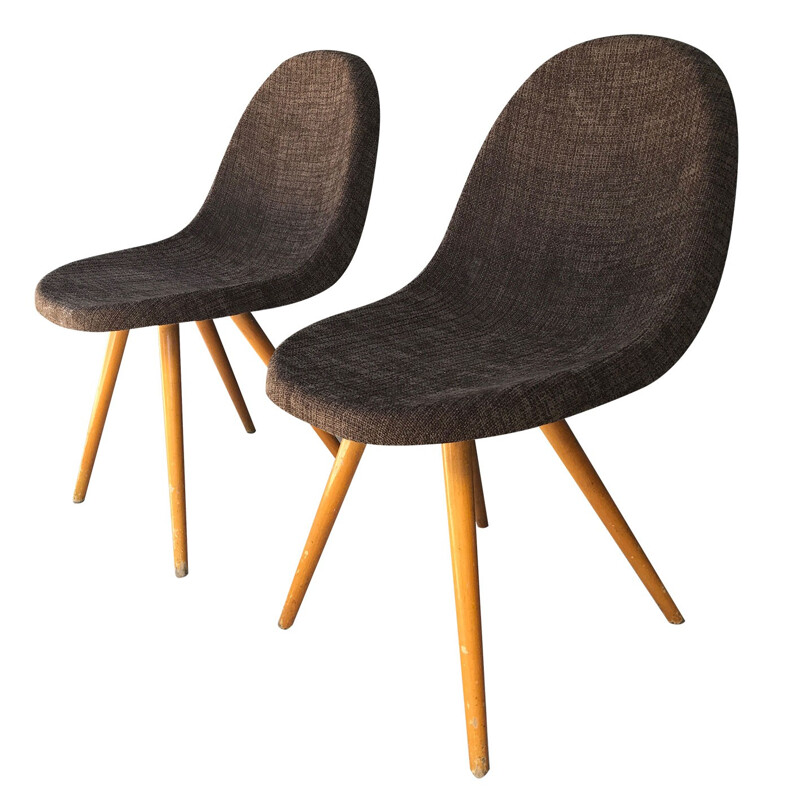 Pair of mid-century brown chocolate chairs with compass legs - 1950s