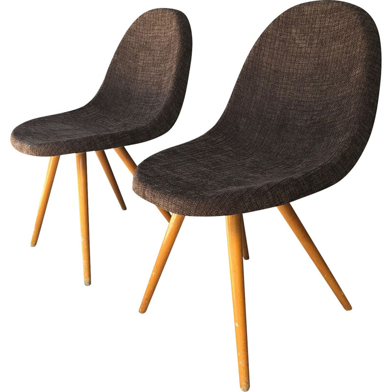 Pair of mid-century brown chocolate chairs with compass legs - 1950s