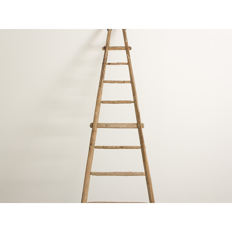 Vintage decorative fir ladder