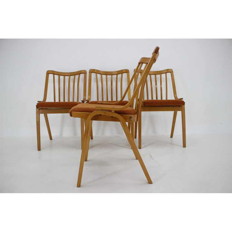 Ensemble de 4 chaises vintage par Antonin Suman par Ton, Tchécoslovaquie 1970