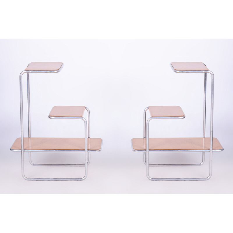 Pair of vintage Bauhaus shelves by Arnošt Beck for Robert Slezák, Czechoslovakia 1930