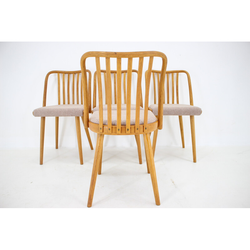 Conjunto de 4 cadeiras de jantar vintage em madeira de carvalho de Antonin Suman, Checoslováquia, década de 1970
