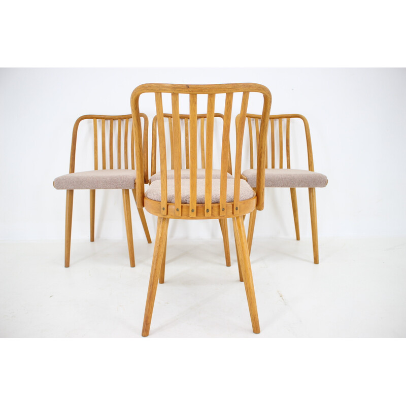 Ensemble de 4 chaises vintage en bois de chêne par Antonin Suman, Tchécoslovaquie 1970