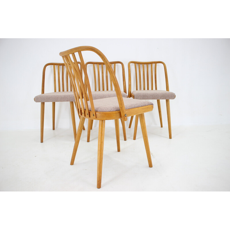 Conjunto de 4 cadeiras de jantar vintage em madeira de carvalho de Antonin Suman, Checoslováquia, década de 1970