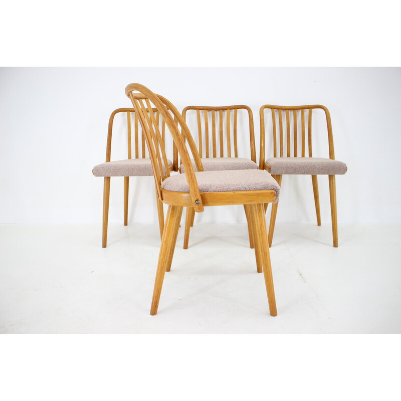 Set di 4 sedie da pranzo vintage in legno di quercia di Antonin Suman, Cecoslovacchia, anni '70