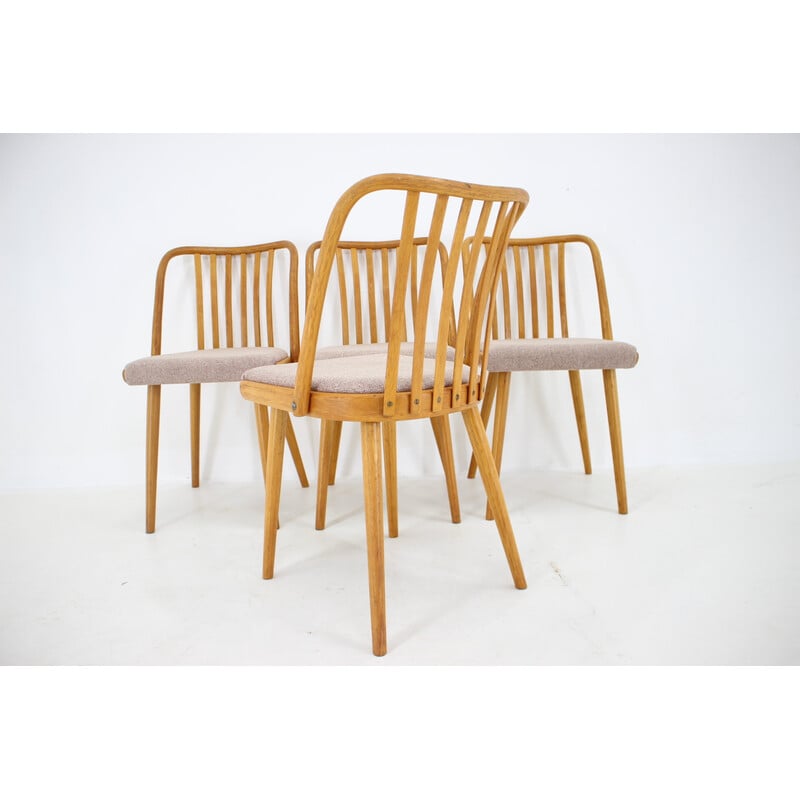 Ensemble de 4 chaises vintage en bois de chêne par Antonin Suman, Tchécoslovaquie 1970