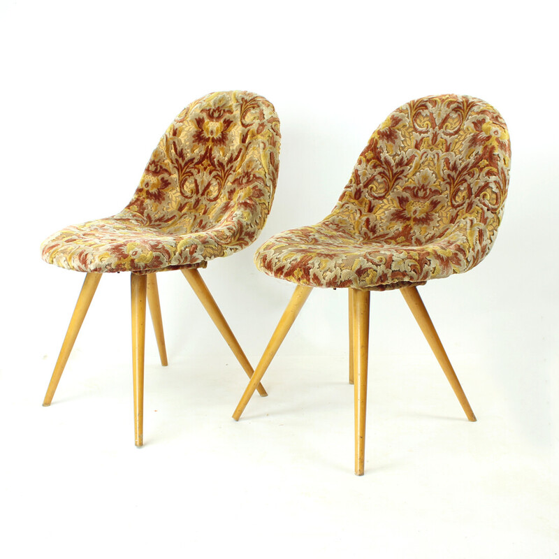 Par de cadeiras Shell de meados do século por Miroslav Navratil, Checoslováquia 1960s