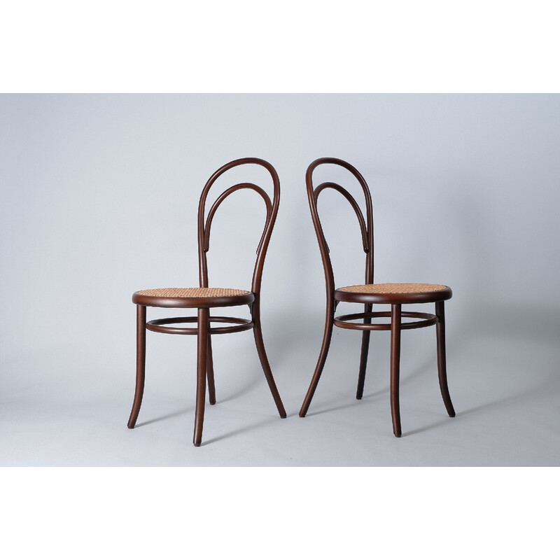 Paire de chaises vintage N°18 par Gebrüder Thonet