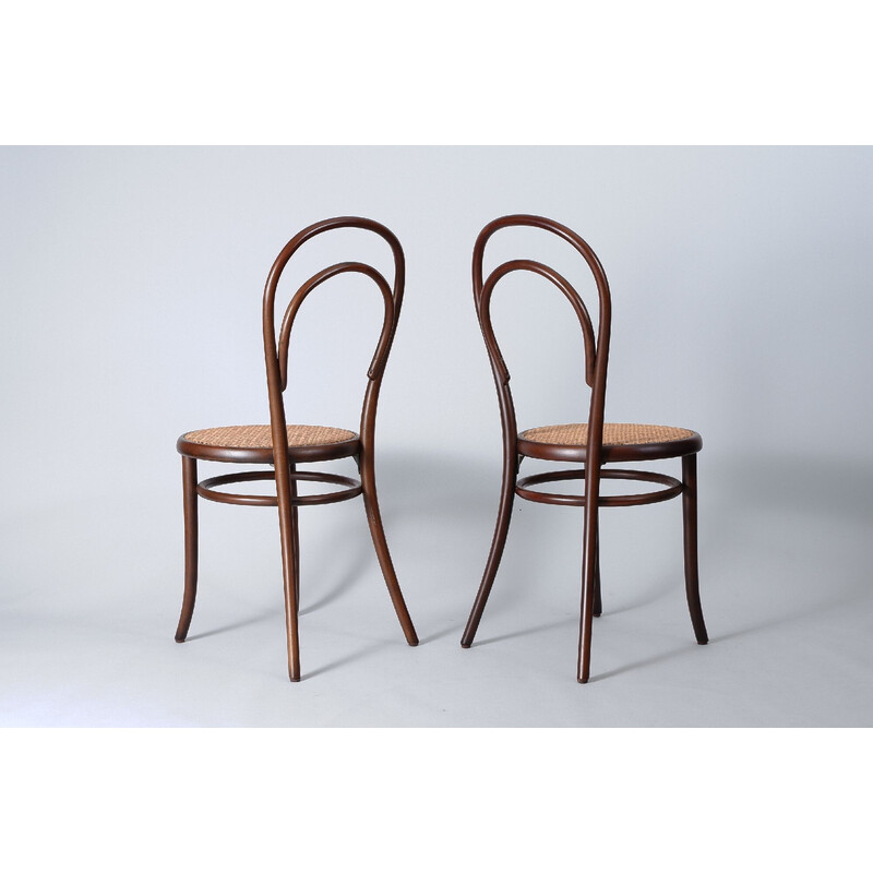 Par de cadeiras vintage N°18 da Gebrüder Thonet