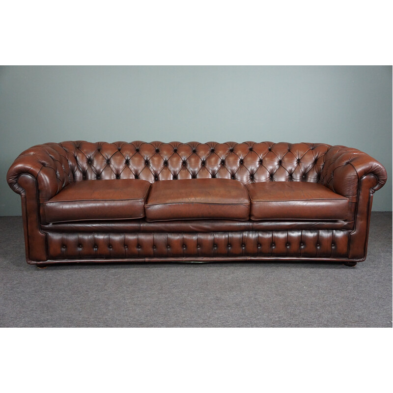Vintage chesterfield sofa in cowhide leather
